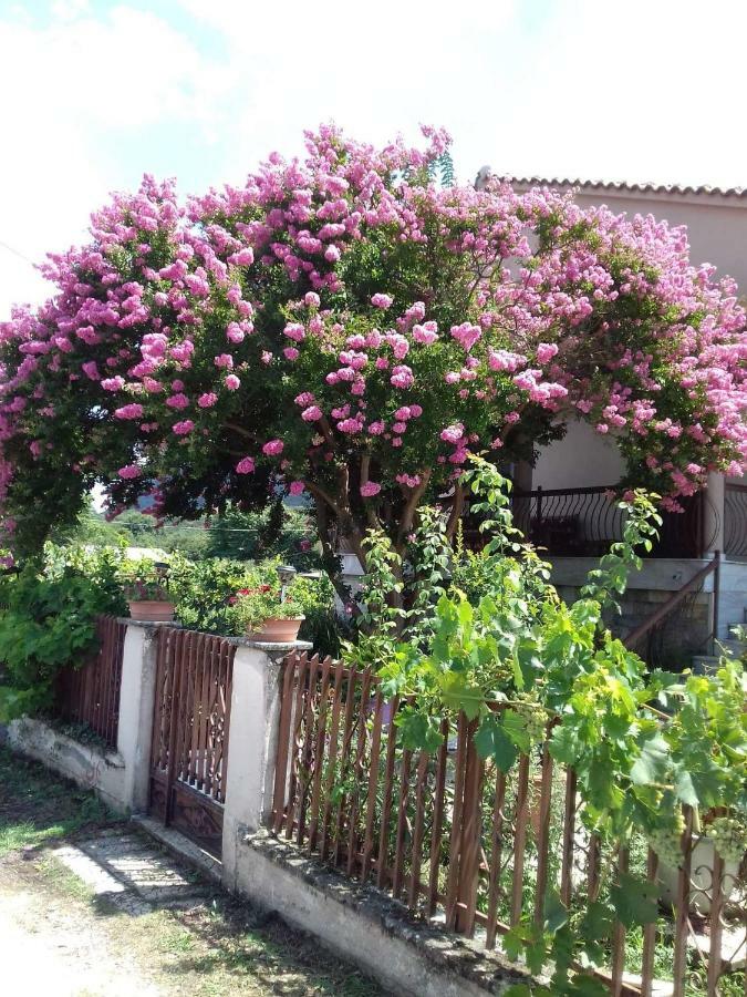 Apartamento With A View Of Meteora Diava Exterior foto